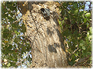 Videofied Site 04 image 01