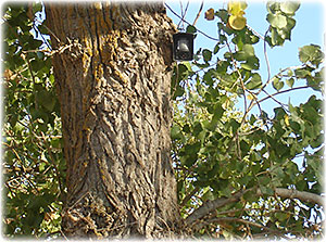 Videofied Site 04 image 02