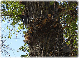 Videofied Site 04 image 03